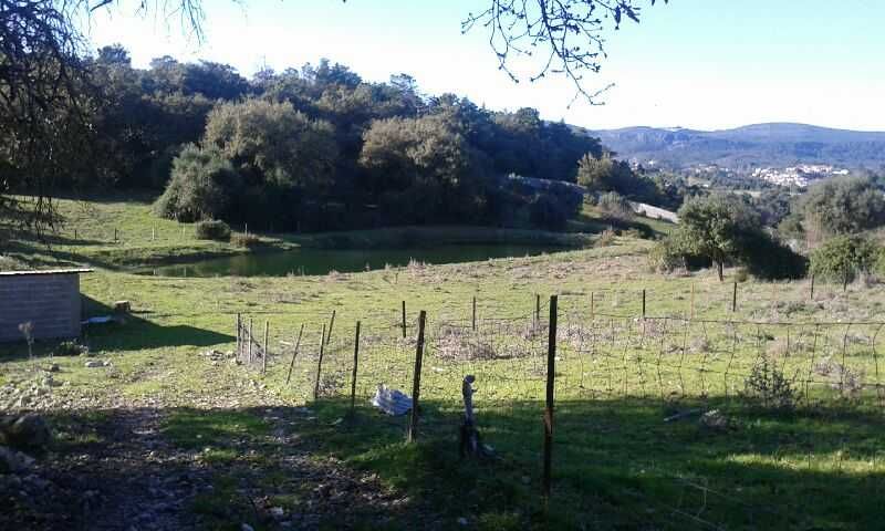 QUINTA COM PAVILHÃO (TODA MURADA)