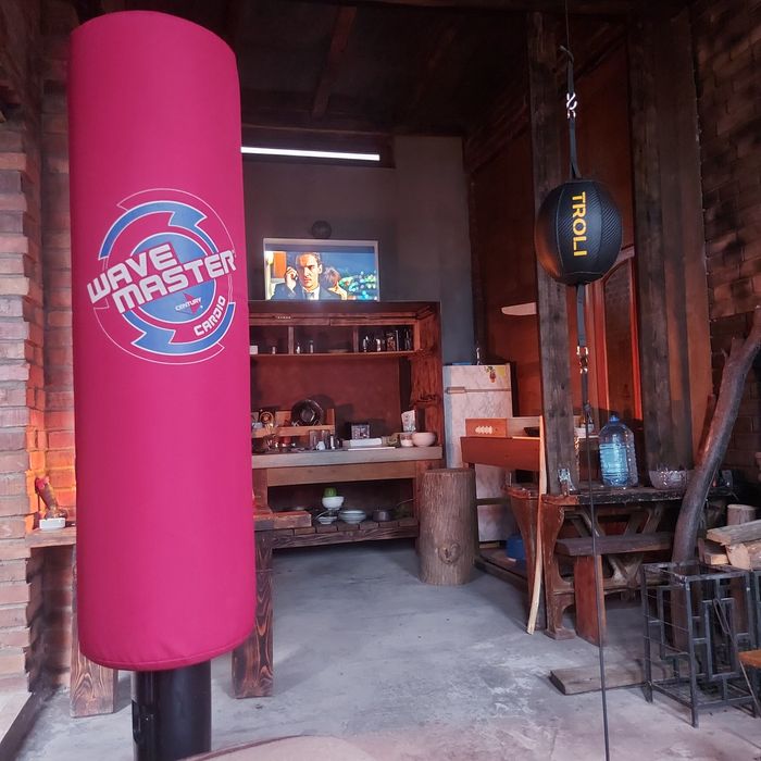 Боксерская кардио груша Wawe Master Century