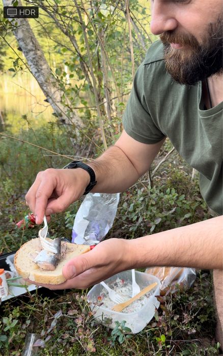 surströmming, сюрстрёмминг, сюрстрьомінг , surstromming