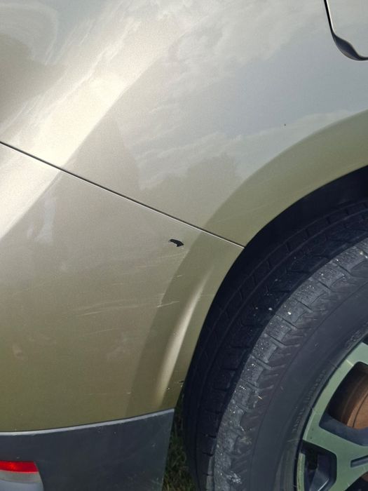 Dacia Duster Prestige 2020