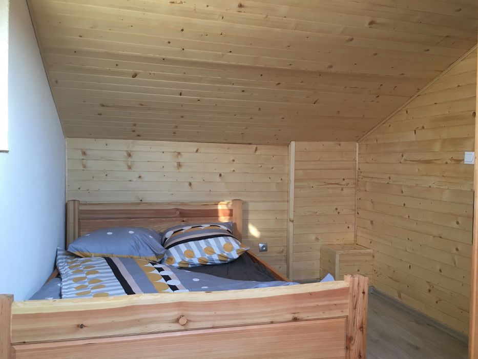 Domek nad stawem , las ,jacuzzi ,łowisko wędkarskie, Bieszczady