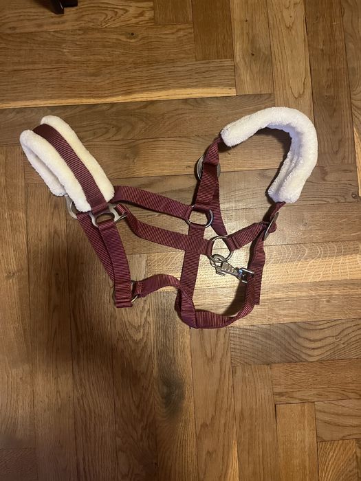 Bordowy kantar z futerkiem