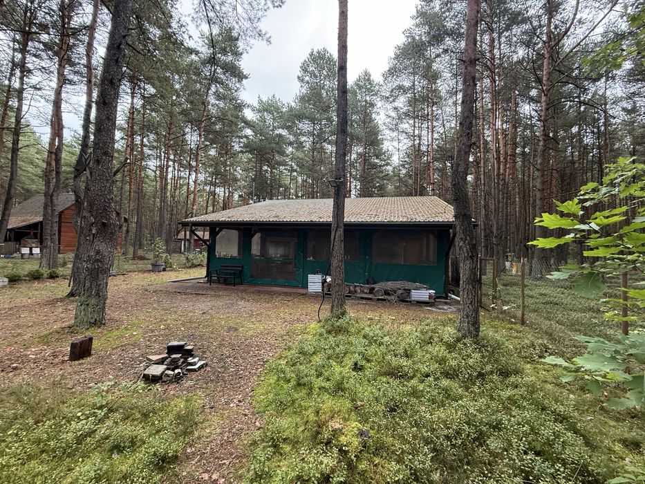 Sprzedam domek z dzialka 3600 m² Poraj - Widok 3