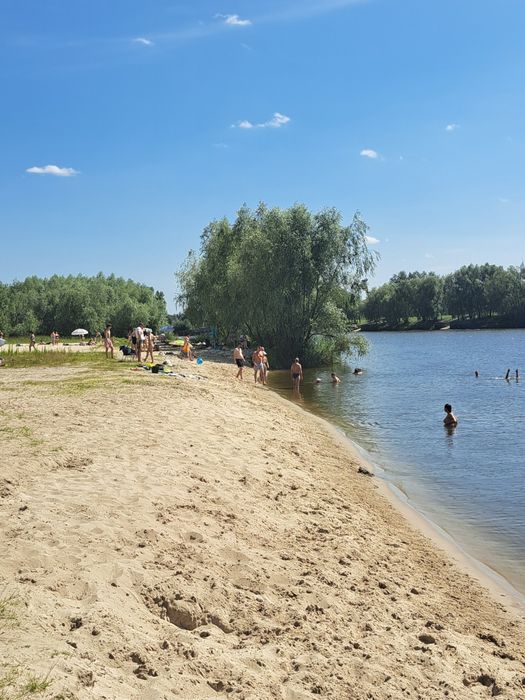 1 линия от Десны, участок 30 соток. 15 км. от Киева в Зазимье (сады).