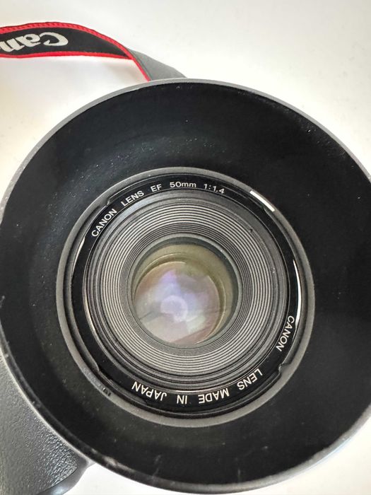 canon eos 5d mark IV