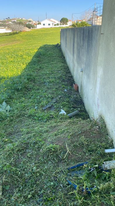 Serviços de roçadora e motocultivador, limpeza de jardinz e quintais