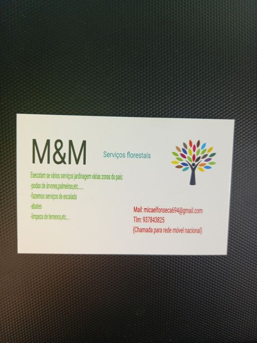 Limpezas de árvores e terrenos