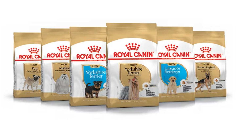 -25% Royal Canin для собак на весь асортимент / в наявності