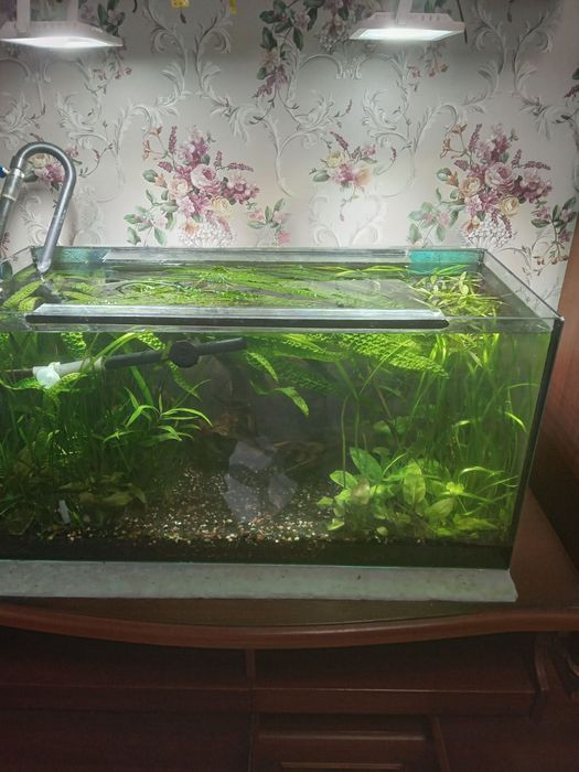 Продаётся аквариум 120 л