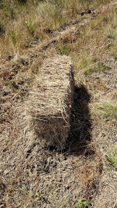 Fardos feno pequenos 2025