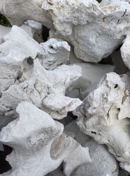 WAPIEŃ FILIPIŃSKI Wapień Mineralny Kamień Naturalny Akwarium Terrarium