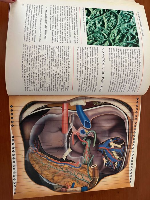 Grande Enciclopédia Médica Verbo - Vol. 2