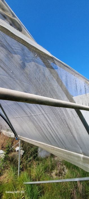 Estufas agrícolas com 4 túneis cada de 2020