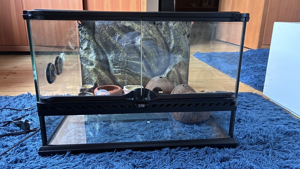Terrário para gecko leopardo incluindo extras