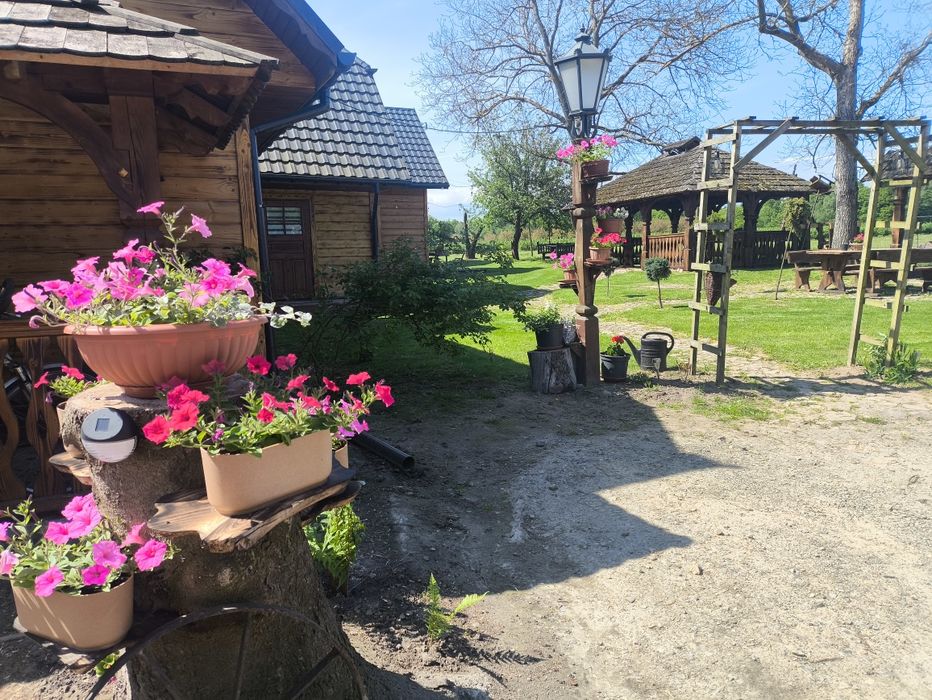 Domki i pokoje do wynajęcia