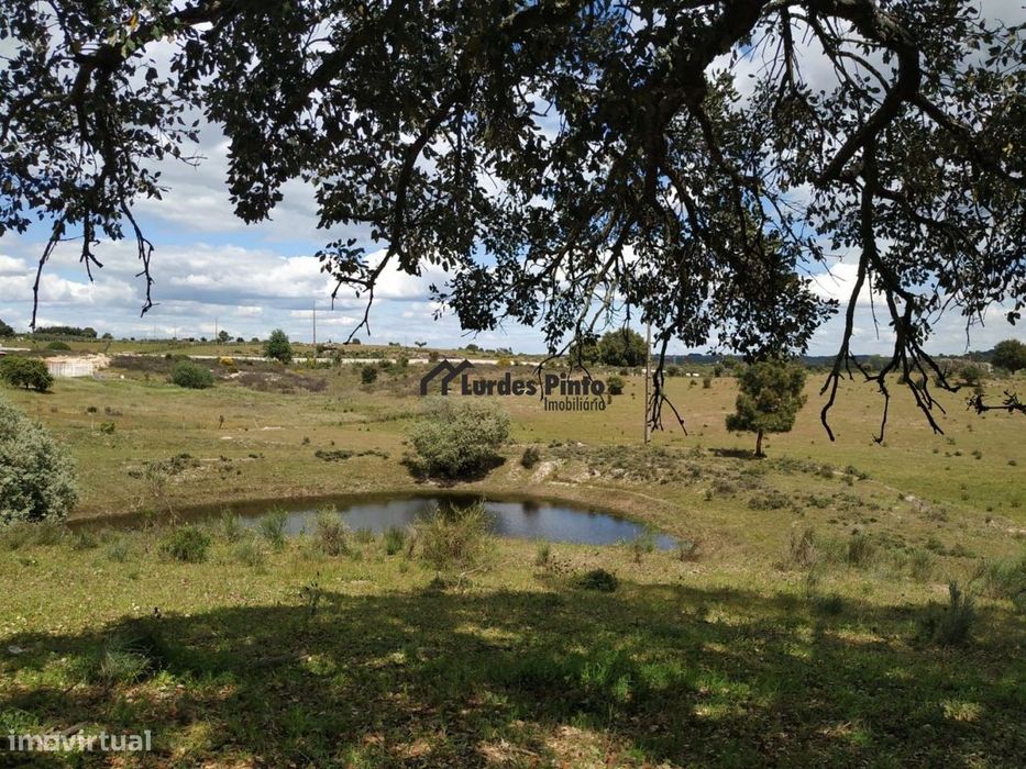 Land Plot of 30,370 m² in Castelo Branco