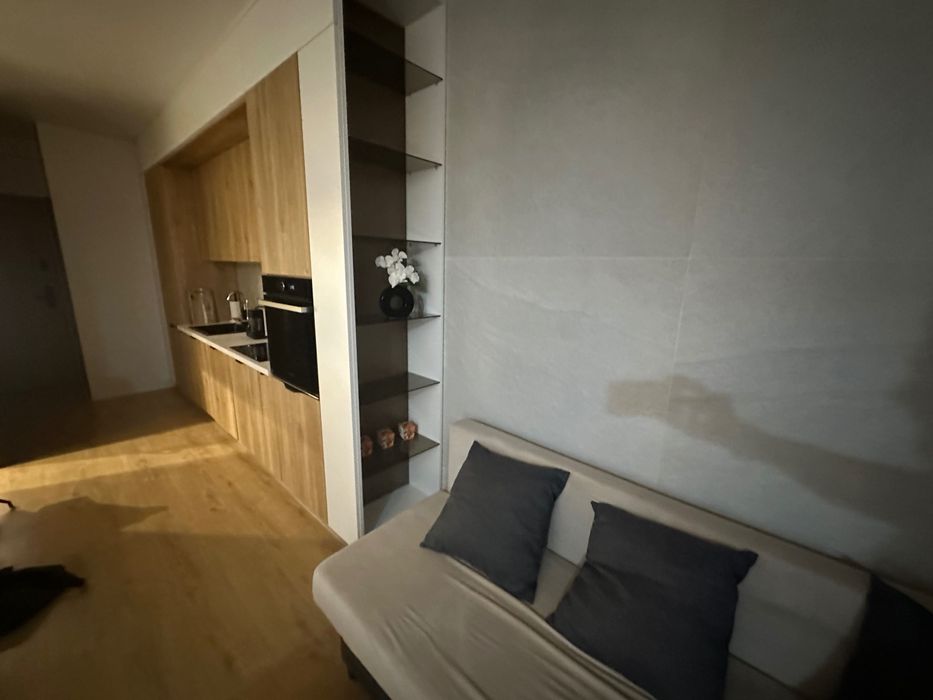 Velvet Apartment z miejscem parkingowym w sercu Katowic na doby, godz.