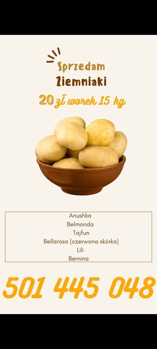 Ziemniaki pyry od rolnika