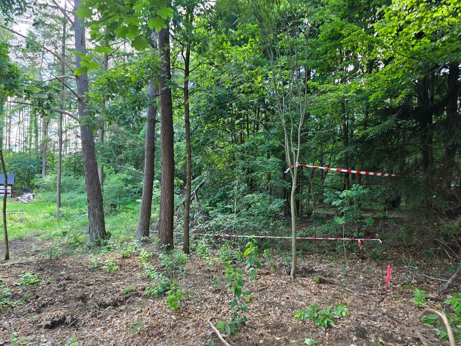 Działka nad jeziorem Jasień