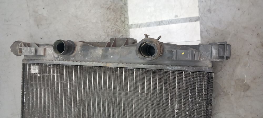 Radiador de água RENAULT Grand Scénic II (JM0/1_)