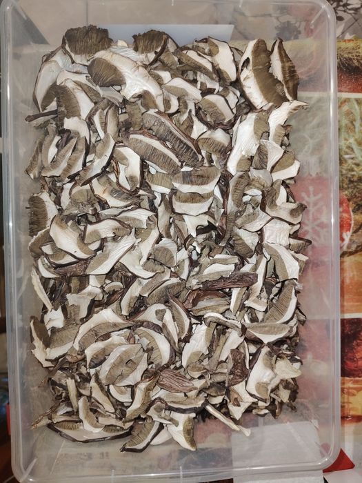 Grzyby suszone, podgrzybki