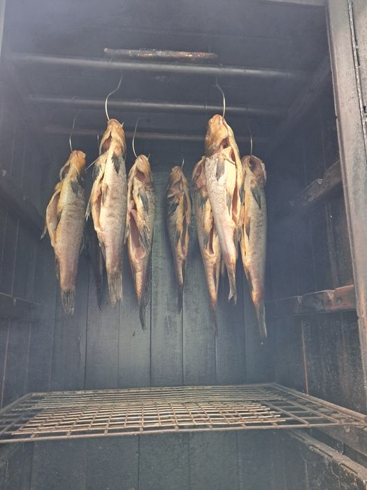 Wędzarnia do wędzenia na zimno i gorąco