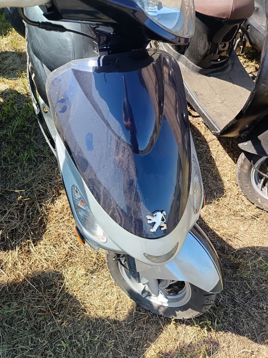 Czacha,czasza przód peugeot v-clic