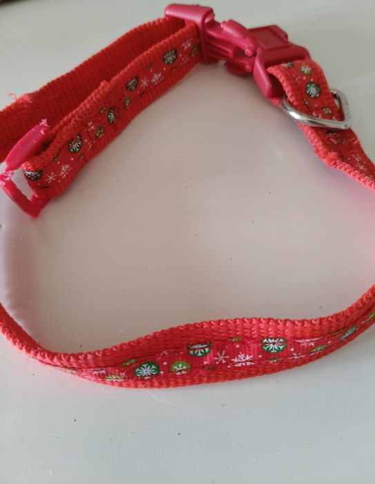 Coleira de Gato Usada