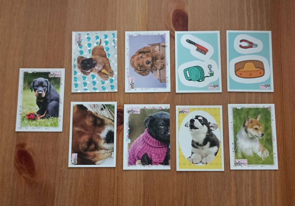 Cromos panini, Puppies And Me.