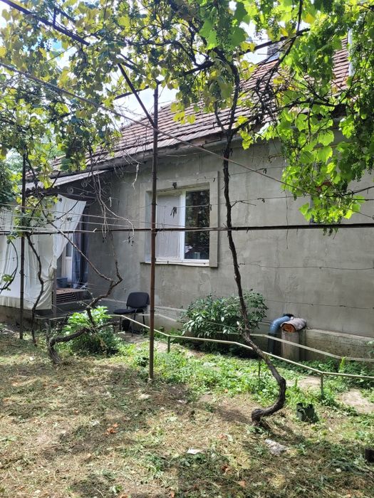 Продам дом в селі.