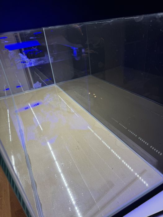 Akwarium Optiwhite 240 L