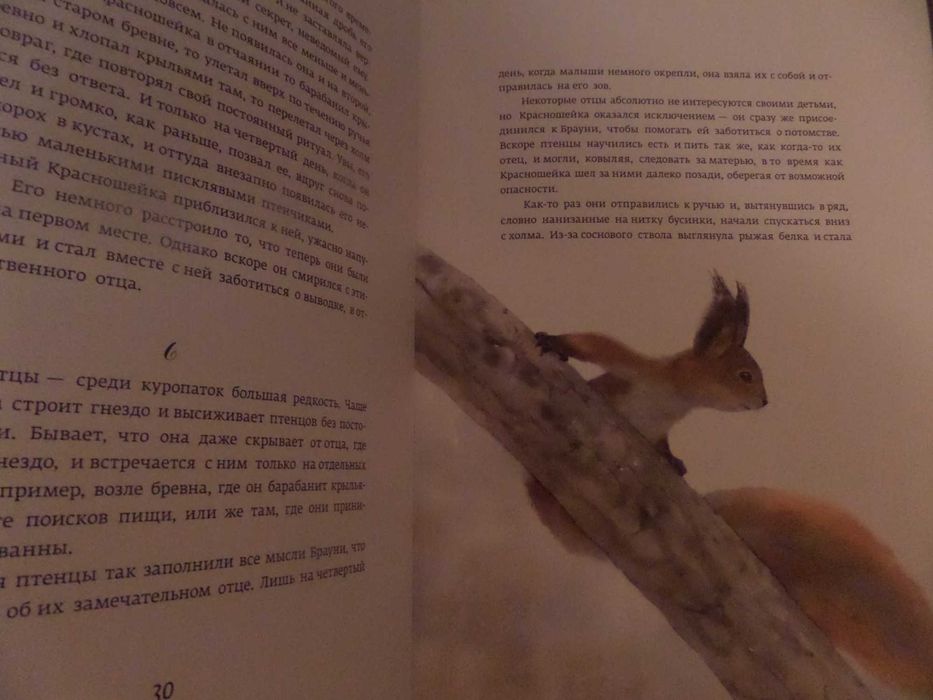 Эрнест Сетон-Томпсон Красношейка