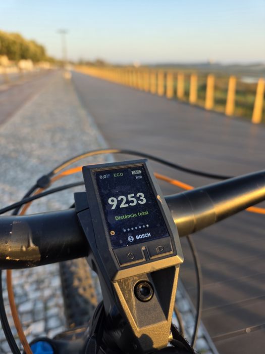 KTM Kapoho 2971 e-Bike