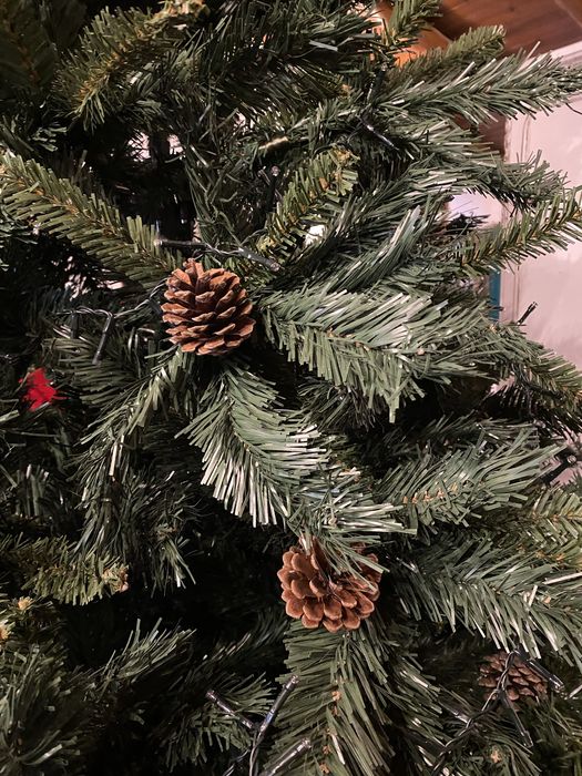 Pinheiro de natal