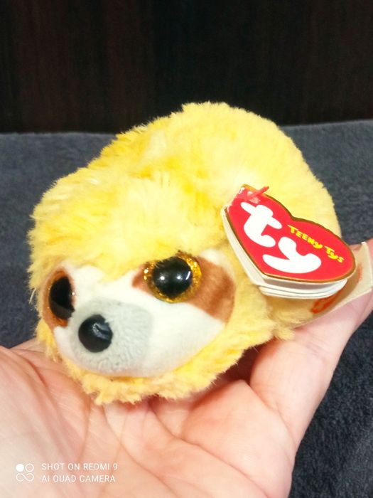 Кот, белая сова Хедвиг, собака