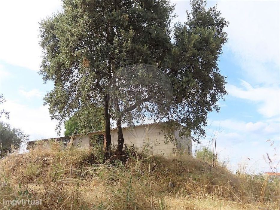 Country Estate for Sale
