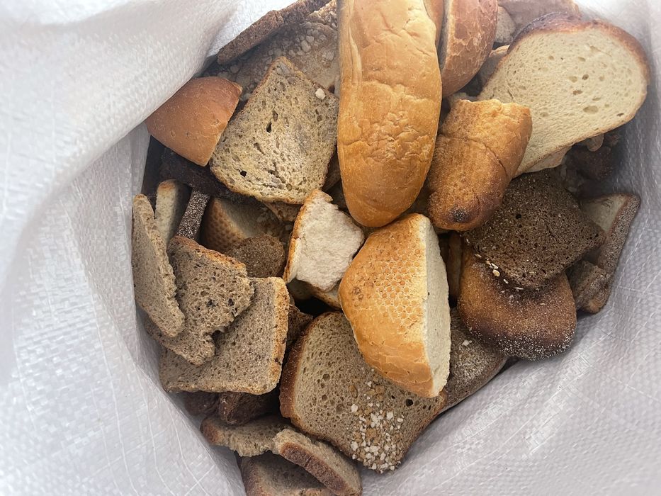 Сухар, паніровка, хлеб, гренка, корм, білий пшеничний хліб, крошка