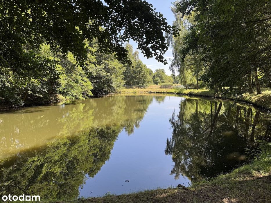 Posiadłość pod Kępnem-2 domy, restauracja, mieszkania, stajnia i stawy