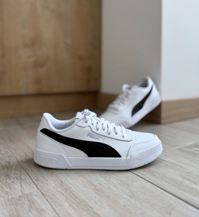 Puma Caracal