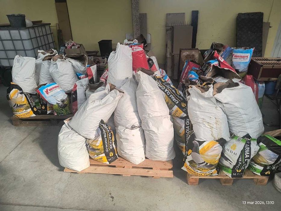 Nawóz gołębi - za darmo