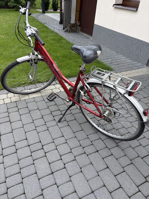 Rower arkus damski