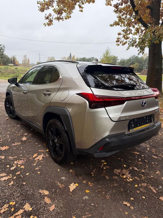 Lexus UX Lexus UX 250 H w pięknym szampańskim kolorze z małym przebiegiem.
