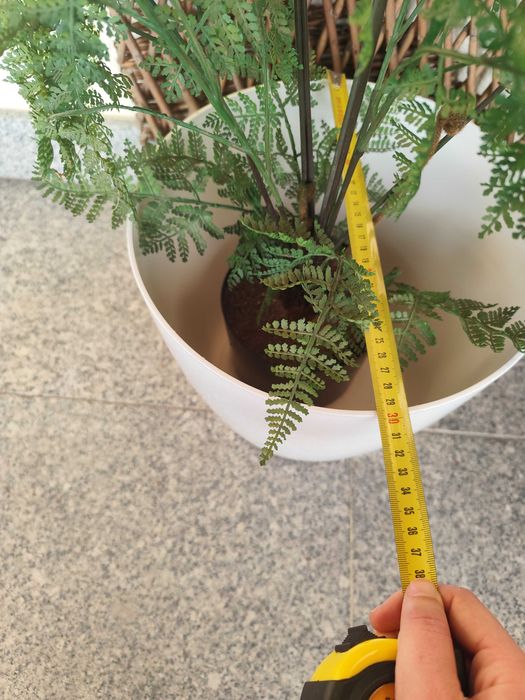 Conjunto 2 vasos brancos com rodas