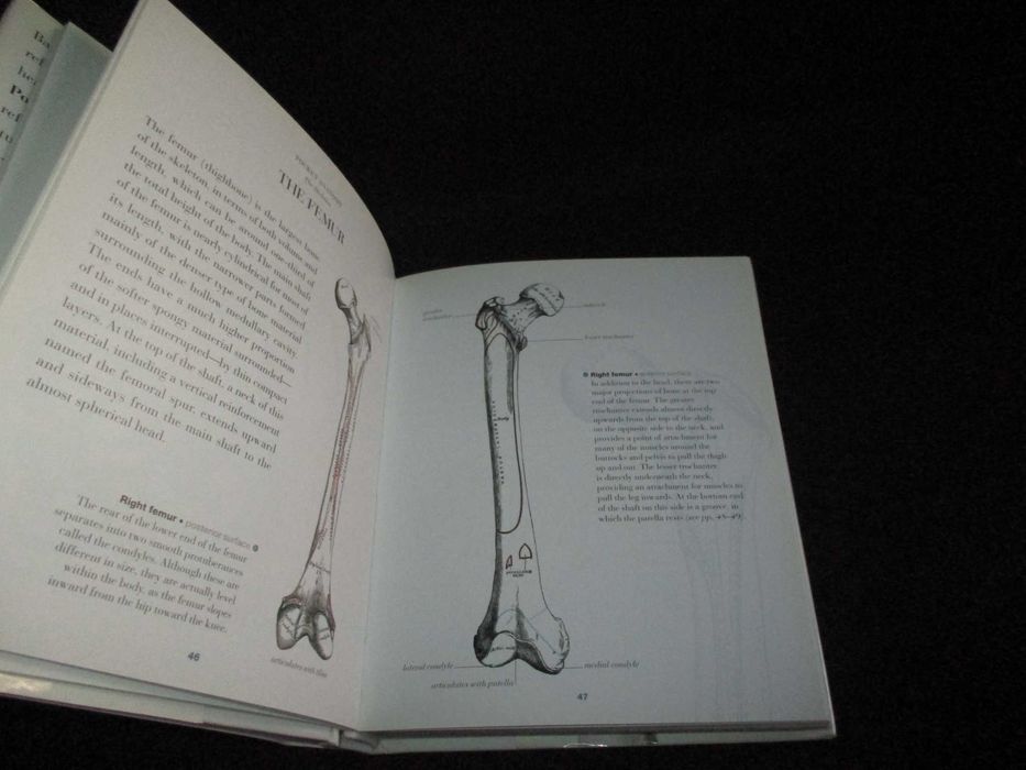 Livro Pocket Anatomy Christopher Joseph