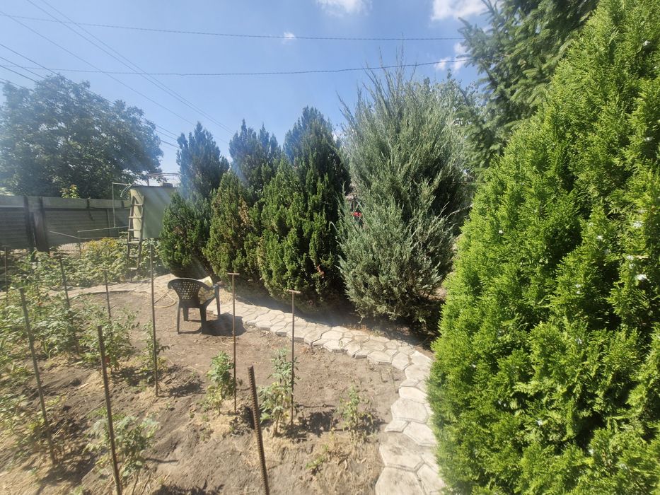 Крепкий жилой дом.