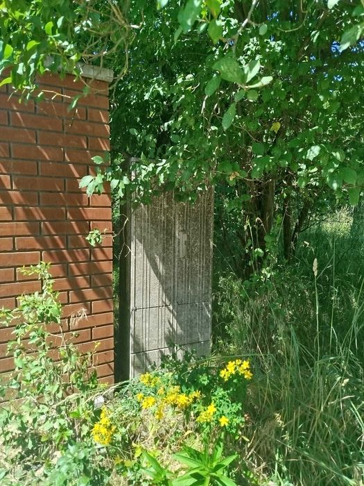 Działka na sprzedaż - Trzcianka - Widok 2