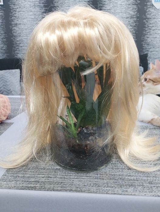 Peruka jasnyblond