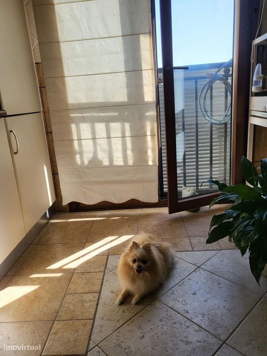 Quarto - localizado em Lisbon