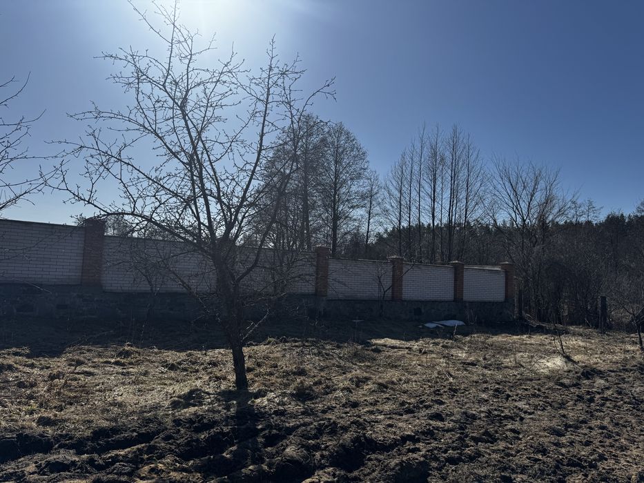 Продаються 2 сучасні таунхауси в с. Березівка (поруч з Житомиром )