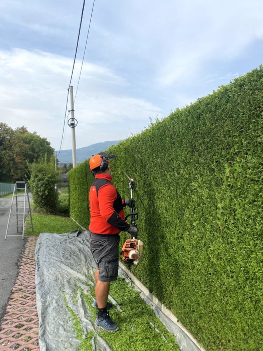Zakładanie trawników, przycinanie żywopłotów  , sadzenie drzew